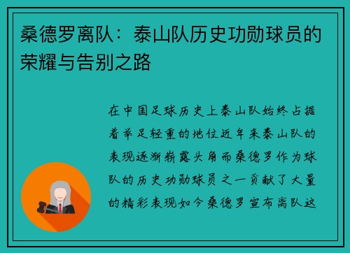 桑德罗离队：泰山队历史功勋球员的荣耀与告别之路