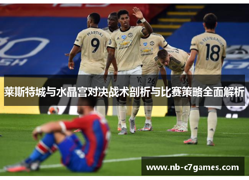 莱斯特城与水晶宫对决战术剖析与比赛策略全面解析