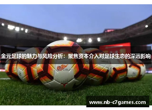 金元足球的魅力与风险分析：聚焦资本介入对足球生态的深远影响