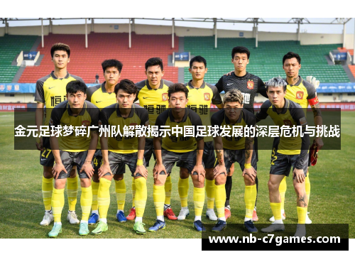 金元足球梦碎广州队解散揭示中国足球发展的深层危机与挑战 金元足球梦碎广州队解散揭示中国足球发展的深层危机与挑战