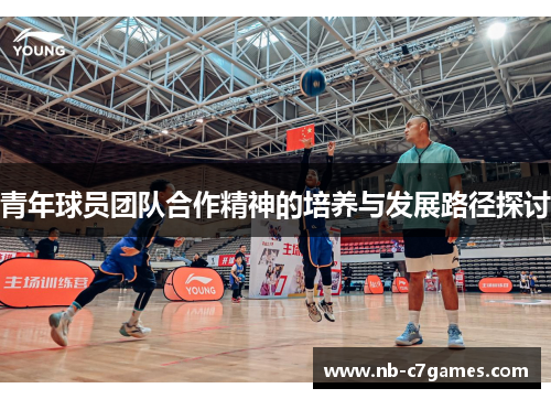 青年球员团队合作精神的培养与发展路径探讨